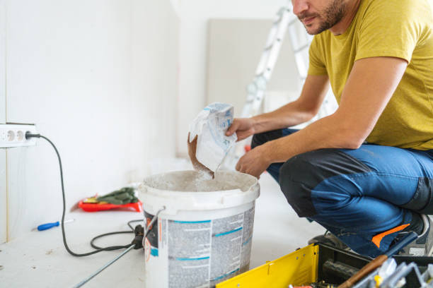 Best Mold Damage Restoration  in Wagener, SC