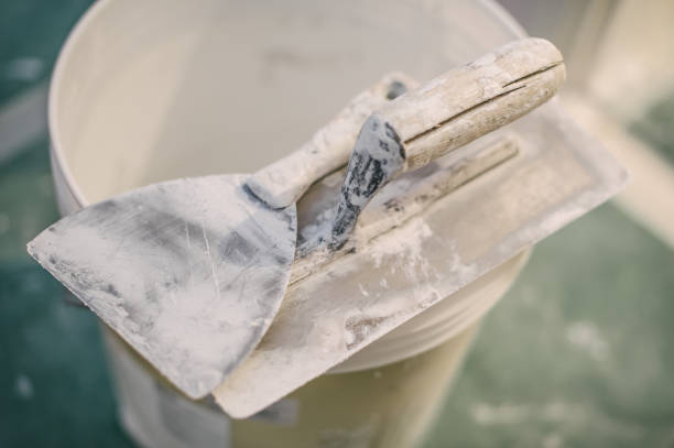 Best Industrial Mold Remediation  in Wagener, SC