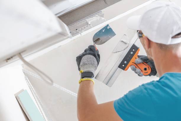 Best Post-Construction Mold Inspection  in Wagener, SC